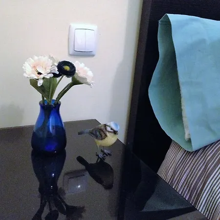 Elegante E Charmoso Apartamento Appartement